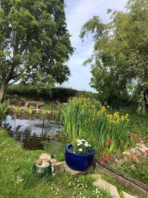 Beautiful Barn Conversion, 3 Bed, Hot Tub, Sauna, Gym, Enclosed Garden Ryde (Isle of Wight) Exterior foto